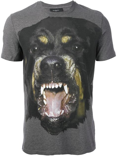 givenchy rottweiler shirt grey|givenchy rottweiler t shirt for sale .